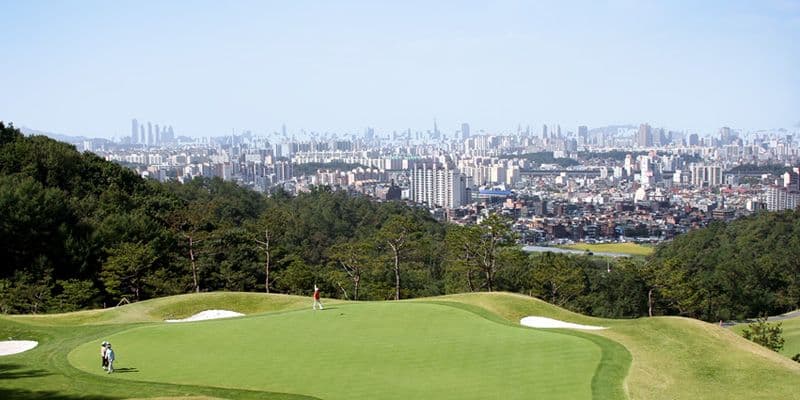 더블이글 취소티 알림 앱 캐슬렉스GC 1