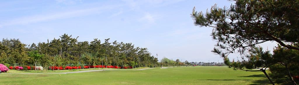 고창CC