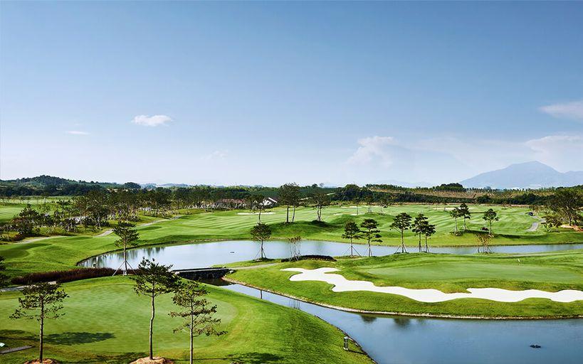 더블이글 취소티 알림 앱 솔라시도CC 2