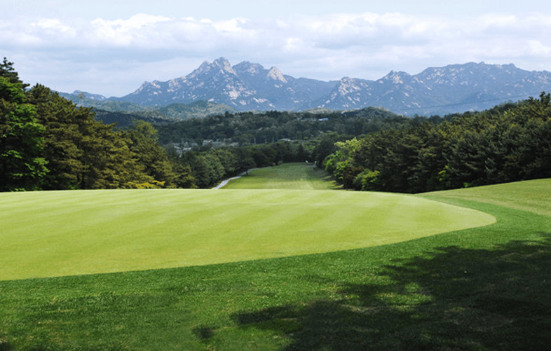 더블이글 취소티 알림 앱 뉴코리아CC 1